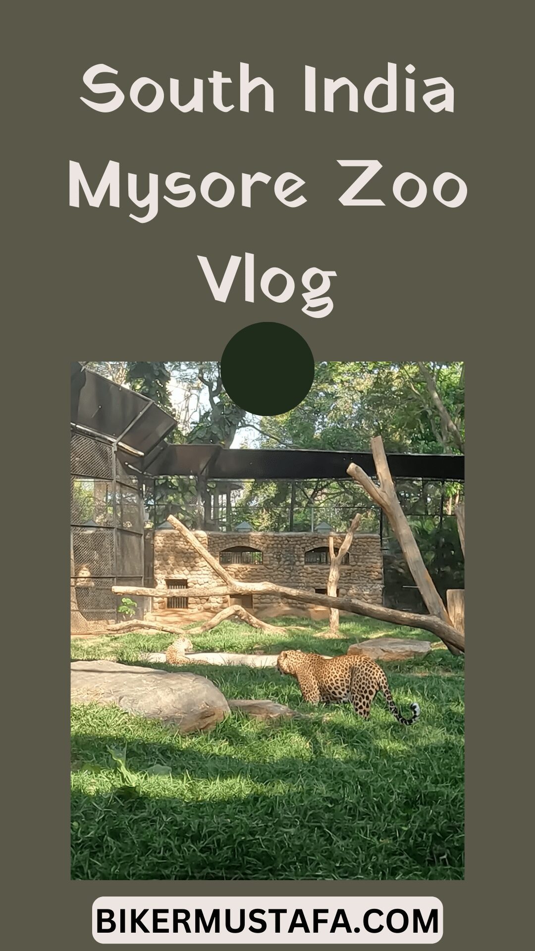 South India Mysore Zoo Vlog